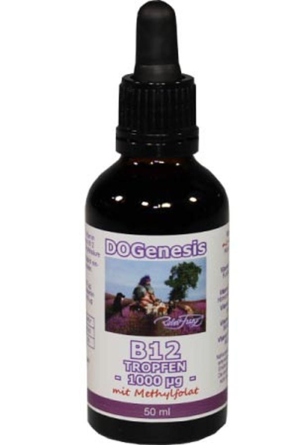 Robert Franz Vitamin B12 Tropfen (50 ml)