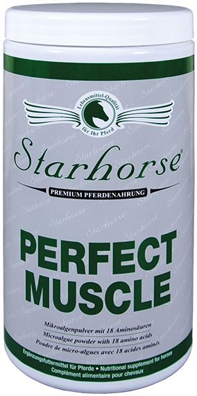 Starhorse Perfect Muscle