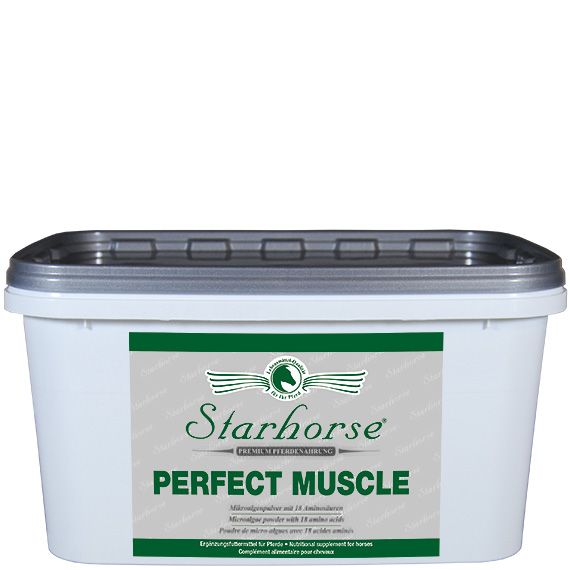 Starhorse Perfect Muscle